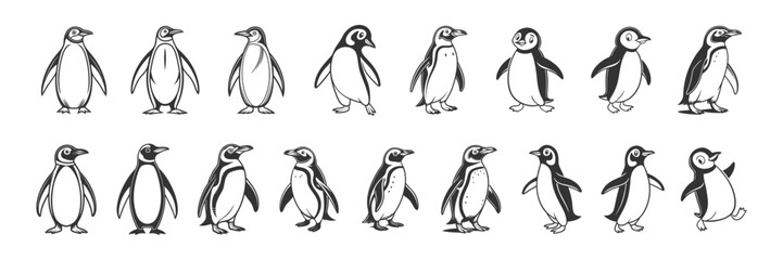 Obraz premium Penguin Vector Art & Illustration