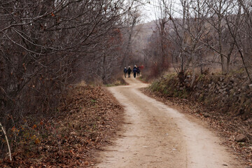 people walking in nature in autumn