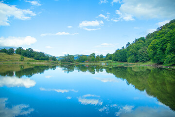 View of beautiful lake. Summer. Environment
