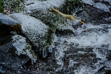 Ein frostiger Tag im niederbayerischen Perlbachtal