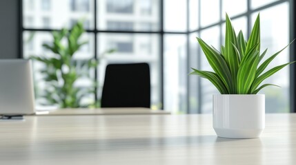 Fototapeta premium Modern Minimalist Office Desk with Plant