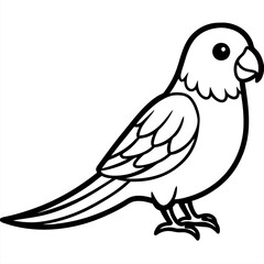 illustration of a bird