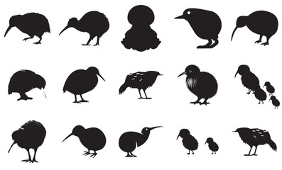Kiwi Bird Silhouettes set Black silhouette kiwi bird icon and vector illustration