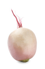 One fresh ripe turnip isolated on white
