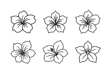 Fototapeta premium set of flowers vector