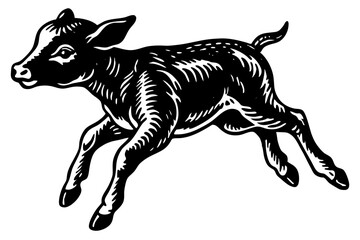 Baby Calf white background vector art illustration