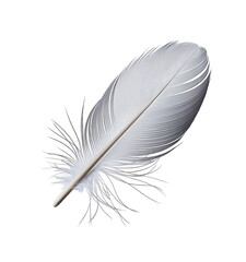 Elegant White Bird Feather Detailed Macro Photography Studio Shot Isolated Black Background Soft Light Delicate Texture Natural Beauty Wildlife Avian Feather Softness art wing pure calm image clean   