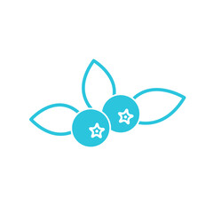 Gift of Nature: Blueberries and Antioxidant Power. Isolated on white background. Blue icon set.