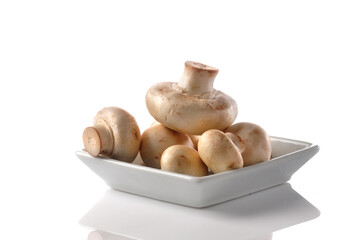 White button mushrooms in a plate on white background. Nutritious, healthy and organic vegetables.
