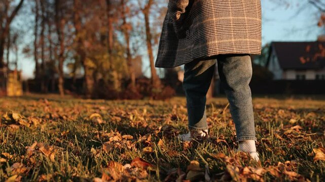 Child enjoys satisfying crunch of dry leaves beneath feet during walk on park lawn. Little child walks through field covered with fallen leaves. Child walks across grassy path on sunny day
