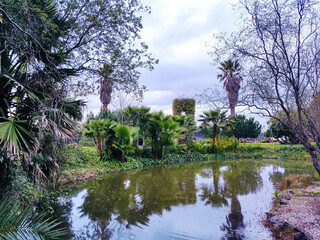 Serene pond reflecting palm trees and lush greenery.