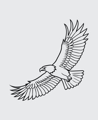 Soaring eagle with spread wings outline vector illustration. eagle in outline - vector illustration. isolated