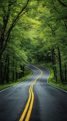 Obraz premium Winding road through lush green forest, scenic drive