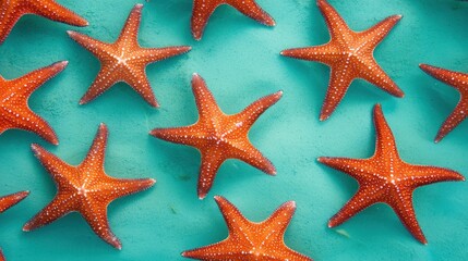Vibrant wildlife exploration starfish in coastal ecosystem underwater photography marine habitat aesthetic view