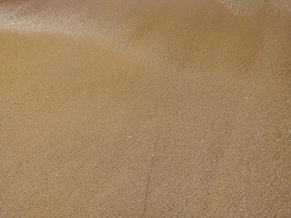 Fine golden sand covering a beach during a sunny day with clear skies, creating a serene and tranquil atmosphere for relaxation