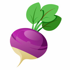 red apple with leaf isolated on whitered apple with leaf isolated on white