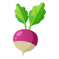 red apple with leaf isolated on whitered apple with leaf isolated on white