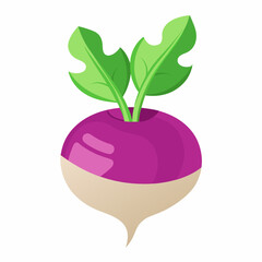 red apple with leaf isolated on whitered apple with leaf isolated on white