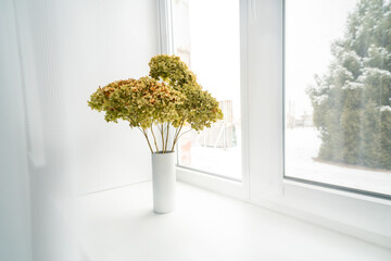 A bouquet of dried hydrangea flowers is on the window
