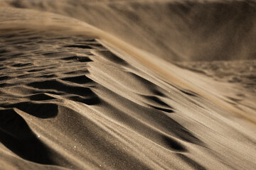 sand in the desert, maspalomas dunes, gran canaria