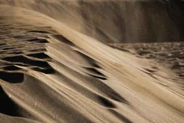 Maspalomas sand dunes,  Gran Canaria