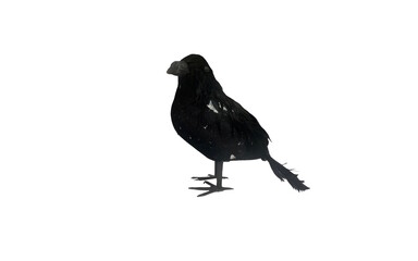 A black bird figurine isolated against white background