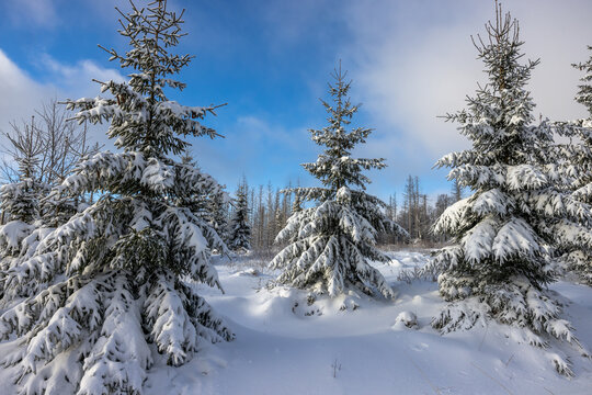 Winterlandschaft