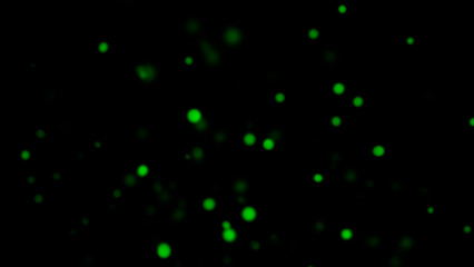 Blurred Green embers sparks on black background . Texture isolated overlays. Concept of particles, sparkles, flame and light.