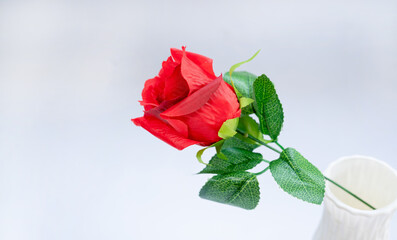 Red Rose Flower. Red plastic roses on isolate white background. clipping path.valentine celebration concept