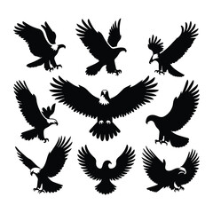 Eagle bird vector on a set design with white background