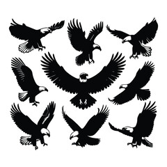 Fototapeta premium Eagle bird vector on a set design with white background