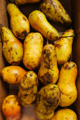 spoiled fruits from the seller at the market. defective frozen pears on the market counter