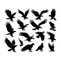 Eagle bird vector on a set design with white background