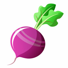 fruit, food, vector, leaf, isolated, green, illustration, apple, nature, fresh, healthy, orange, organic, ripe, natural, plant, white, vegetable, sweet, vegetarian, red, fruits, pear, plum, juicycc