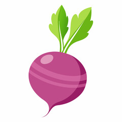 fruit, food, vector, leaf, isolated, green, illustration, apple, nature, fresh, healthy, orange, organic, ripe, natural, plant, white, vegetable, sweet, vegetarian, red, fruits, pear, plum, juicycc