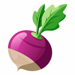 fruit, food, vector, leaf, isolated, green, illustration, apple, nature, fresh, healthy, orange, organic, ripe, natural, plant, white, vegetable, sweet, vegetarian, red, fruits, pear, plum, juicycc