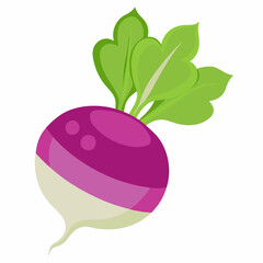 fruit, food, vector, leaf, isolated, green, illustration, apple, nature, fresh, healthy, orange, organic, ripe, natural, plant, white, vegetable, sweet, vegetarian, red, fruits, pear, plum, juicycc