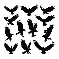 Eagle bird vector on a set design with white background