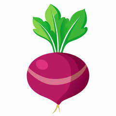 fruit, food, vector, leaf, isolated, green, illustration, apple, nature, fresh, healthy, orange, organic, ripe, natural, plant, white, vegetable, sweet, vegetarian, red, fruits, pear, plum, juicycc