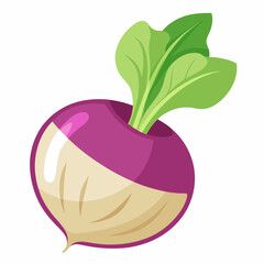 fruit, food, vector, leaf, isolated, green, illustration, apple, nature, fresh, healthy, orange, organic, ripe, natural, plant, white, vegetable, sweet, vegetarian, red, fruits, pear, plum, juicycc