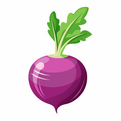 fruit, food, vector, leaf, isolated, green, illustration, apple, nature, fresh, healthy, orange, organic, ripe, natural, plant, white, vegetable, sweet, vegetarian, red, fruits, pear, plum, juicycc