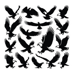 Eagle bird vector on a set design with white background