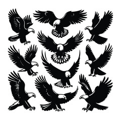 Eagle bird vector on a set design with white background