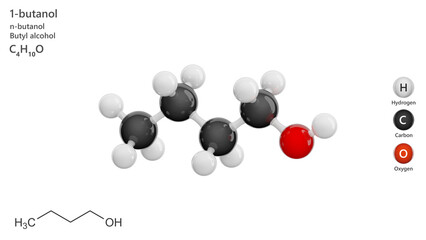 Molecule: 1-Butanol or Butyl alcohol. Molecular structure. Formula: C4H10O. Chemical model: Ball and stick. White background. 3D illustration.