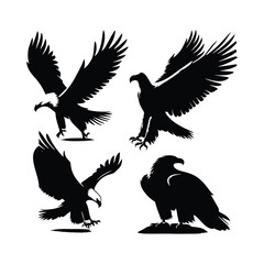 Eagle bird vector on a set design with white background