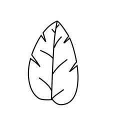Doodle Leaf 