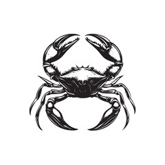 red crab on white background