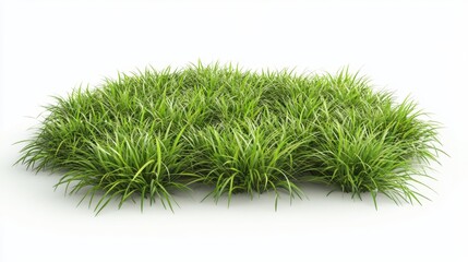 Vibrant 3D Illustration of Lush Green Grass for Nature Background