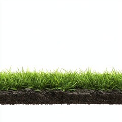 Fototapeta premium 3D Seamless Ground Slice Illustration with Realistic Grass Texture