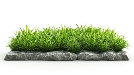 Realistic Render of Green Grass on a Rectangular Stone Section